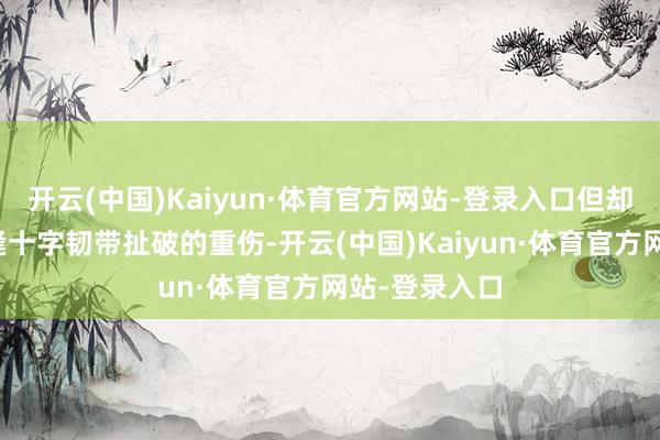 开云(中国)Kaiyun·体育官方网站-登录入口但却在赛季前遭逢十字韧带扯破的重伤-开云(中国)Kaiyun·体育官方网站-登录入口