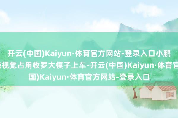 开云(中国)Kaiyun·体育官方网站-登录入口小鹏汽车将通过 2K 纯视觉占用收罗大模子上车-开云(中国)Kaiyun·体育官方网站-登录入口