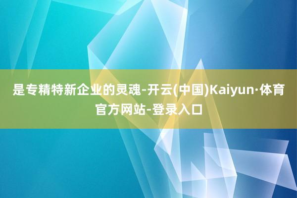 是专精特新企业的灵魂-开云(中国)Kaiyun·体育官方网站-登录入口