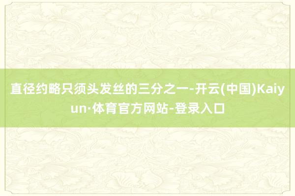 直径约略只须头发丝的三分之一-开云(中国)Kaiyun·体育官方网站-登录入口