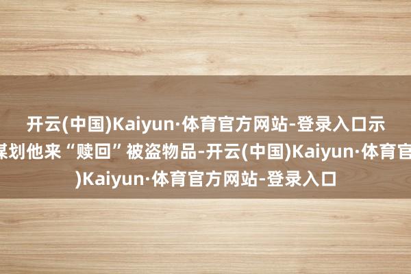 开云(中国)Kaiyun·体育官方网站-登录入口示意公司不错通过谋划他来“赎回”被盗物品-开云(中国)Kaiyun·体育官方网站-登录入口