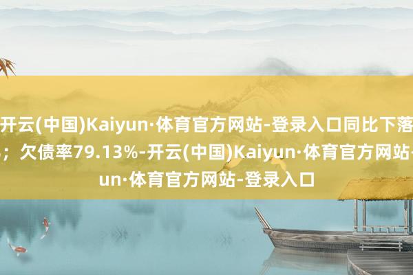 开云(中国)Kaiyun·体育官方网站-登录入口同比下落112.85%；欠债率79.13%-开云(中国)Kaiyun·体育官方网站-登录入口