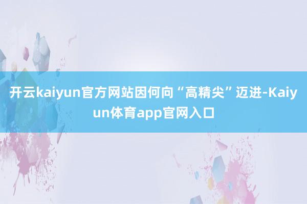 开云kaiyun官方网站因何向“高精尖”迈进-Kaiyun体育app官网入口