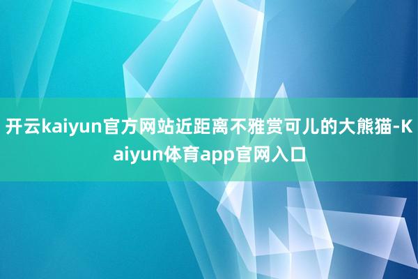 开云kaiyun官方网站近距离不雅赏可儿的大熊猫-Kaiyun体育app官网入口